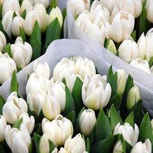 Схема вышивки «№106767»