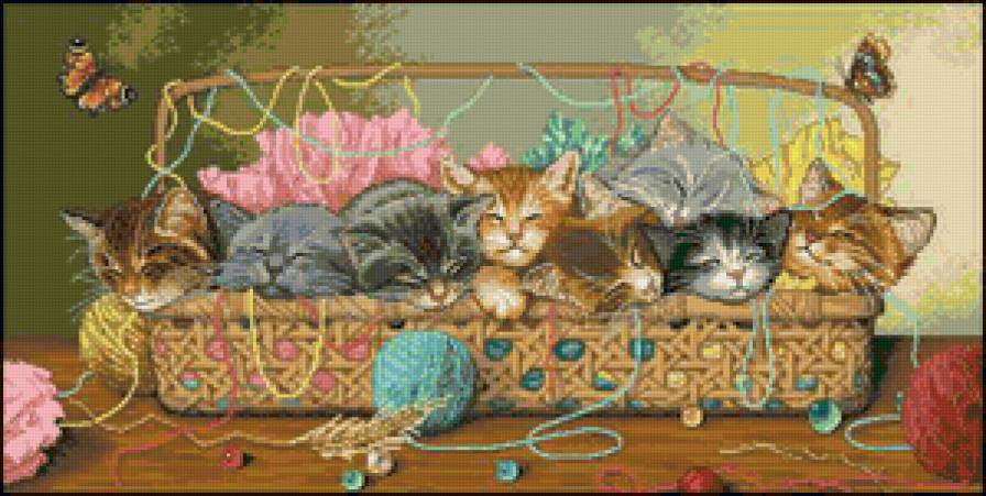 новорожденные котята - корзина, котята - предпросмотр