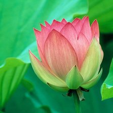 Схема вышивки «№106835»