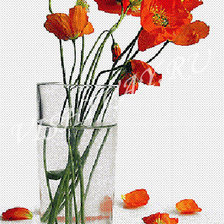 Схема вышивки «Маки в стакане»
