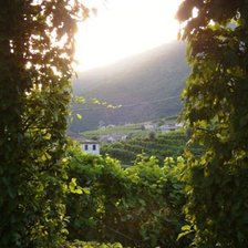 Схема вышивки «Italian window»