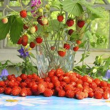 Схема вышивки «натюрморт»