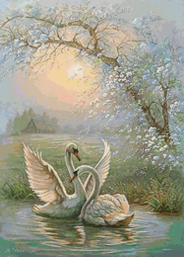 Лебеди - лес, лебеди, озеро, птицы, природа - предпросмотр