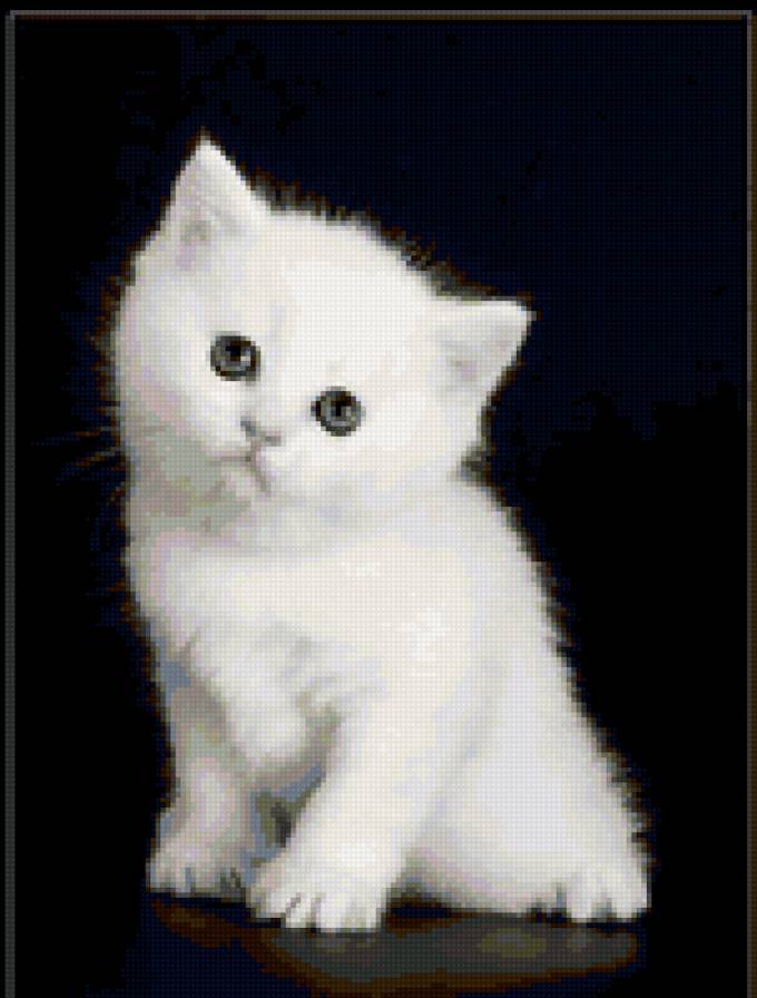 Котеночек - кот, котенок, зверек, животные, котята, кошки - предпросмотр