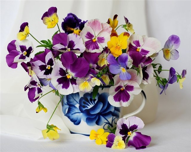 Анютины глазки - гжель, букет, цветы - оригинал