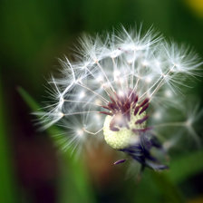 Схема вышивки «№107186»