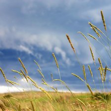 Схема вышивки «№107274»