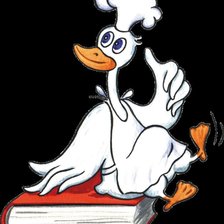 Схема вышивки «утка - повар»