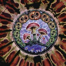 Схема вышивки «Мухоморки на подушку»