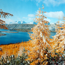 Схема вышивки «Озеро Джека Лондона»