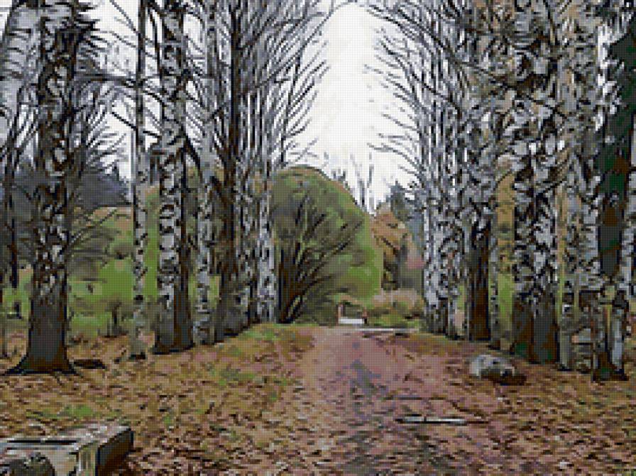 парк - береза, дерево - предпросмотр