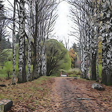 Схема вышивки «парк»