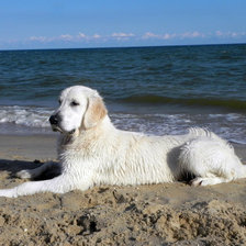 Схема вышивки «Чарли на море»