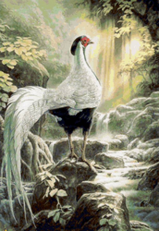 фазан - птица, фазан, китайская живопись, птицы - предпросмотр