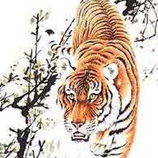 Схема вышивки «тигр на снегу»