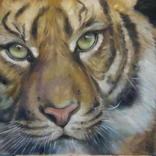 Схема вышивки «тигровый взгляд»