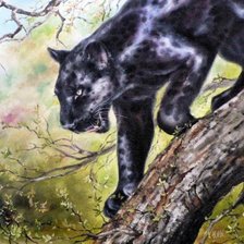 Схема вышивки «Пантера охотница»