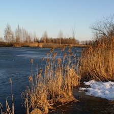 Схема вышивки «Пруд весна»