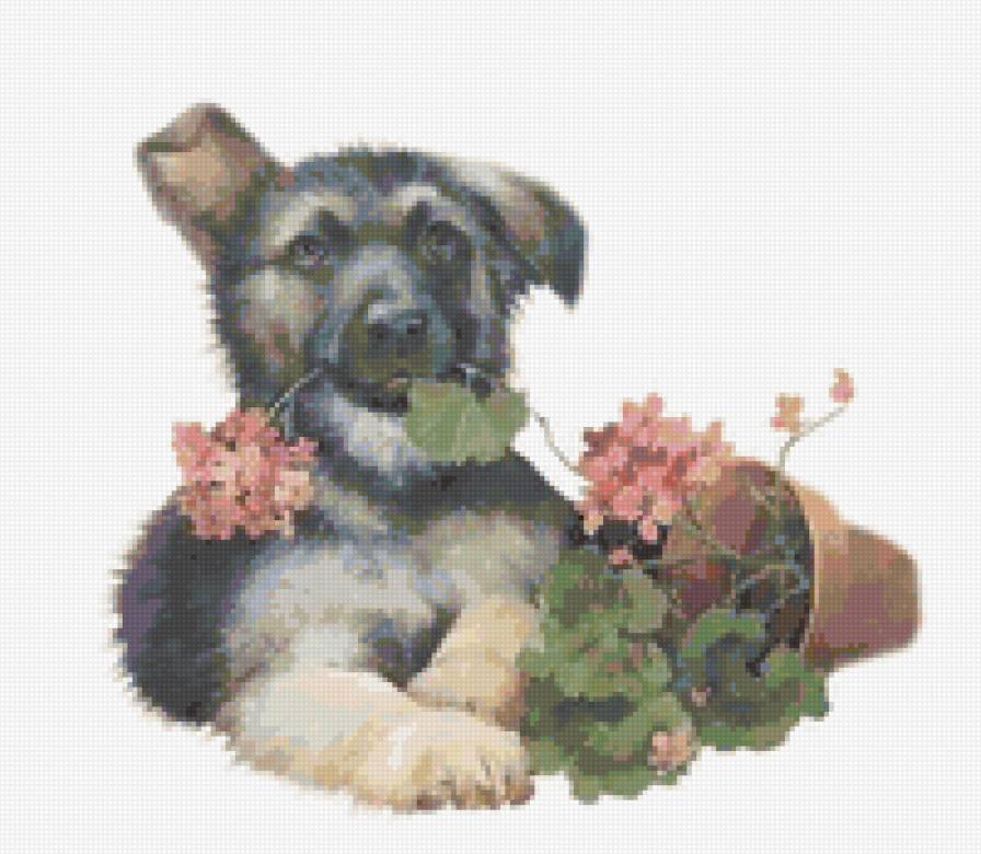 Щенок - животные, цветы, открытка, щенок - предпросмотр