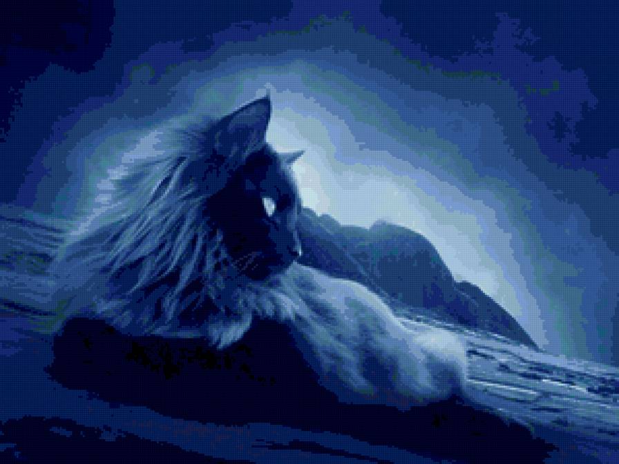 Лунный котик - животные, кот - предпросмотр