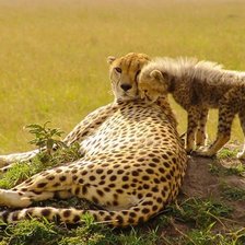 Схема вышивки «№107994»