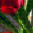 Предпросмотр схемы вышивки «тюльпаны» (№108416)