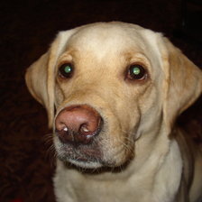 Схема вышивки «Рина2»