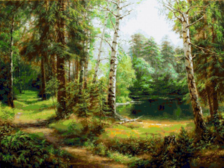 Лесная сказка - дорога, пейзаж, природа, красота, березка, лес, лето, березки - предпросмотр