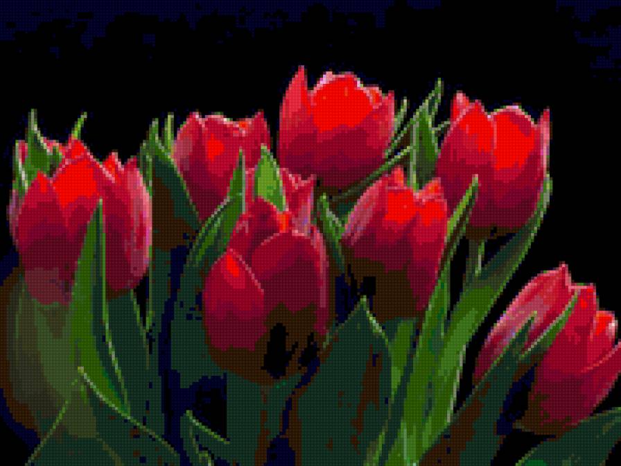 тюльпаны в красном - предпросмотр