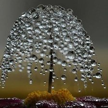 Схема вышивки «роса на паутинке»