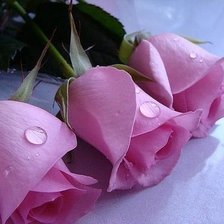 Схема вышивки «розочки»