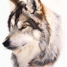 Схема вышивки «0034»