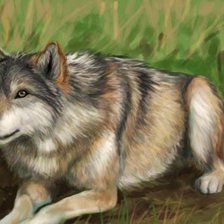 Схема вышивки «0035»