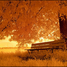 Схема вышивки «очень золотая осень»