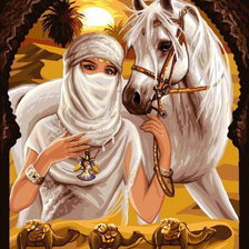 Схема вышивки «красавица пустыни»