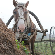 Схема вышивки «№108625»