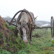 Схема вышивки «№108632»
