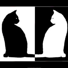 Схема вышивки «кошки»