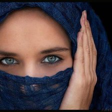 Схема вышивки «Взгляд»