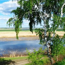 Схема вышивки «Берёзка»