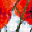 Предпросмотр схемы вышивки «маки в рамке» (№108981)
