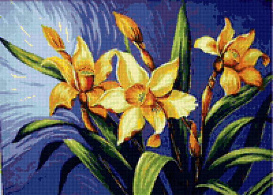 Нарциссы - цветы, букет - предпросмотр