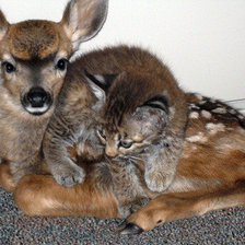 Схема вышивки «Друзья»