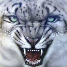 Схема вышивки «Оскал»