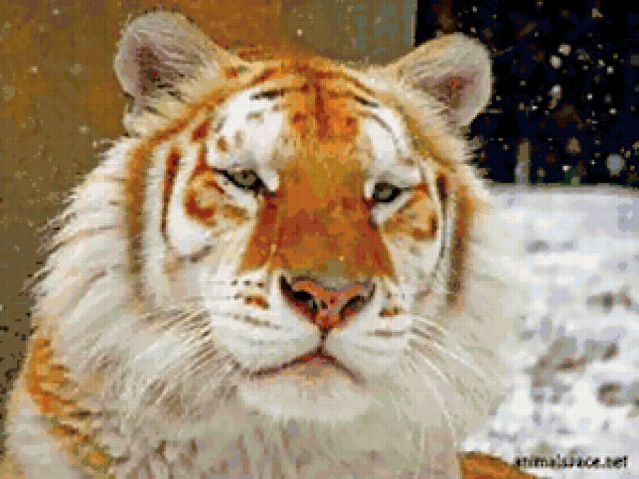 Золотой тигр - тигры, кошки, животные - предпросмотр