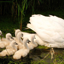 Схема вышивки «Семейство»