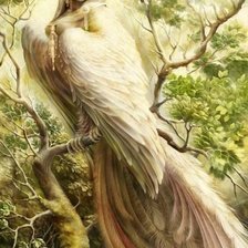 Схема вышивки «Сирин»