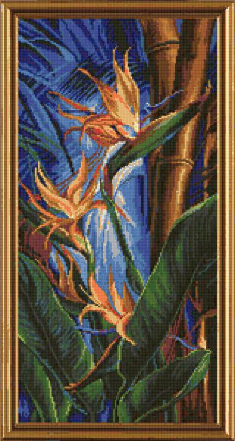 Стрелиция - картина, вазон, стрелиция, цветы - предпросмотр