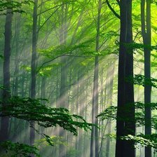 Схема вышивки «№109841»