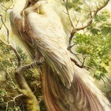 Схема вышивки «сирин»